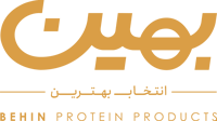 branding logo